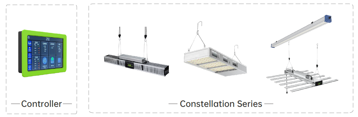 Product Display.png